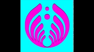 Bassnectar Guest Mix (Unreleased Tracks)