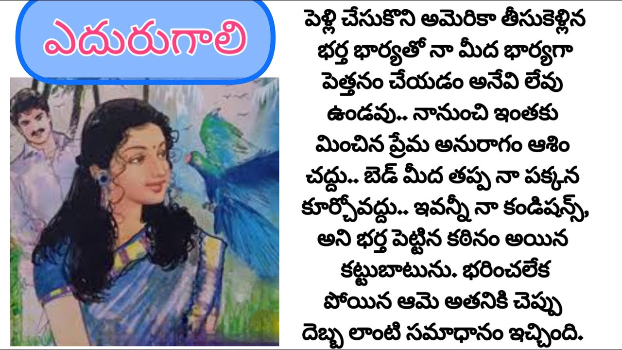 భార్య పేరుతో అమెరికా తీసుకు వెళ్లి పనిమనుషులుగా వాడుకునే భర్త భరతం పట్టిన భార్య/telugu audio books