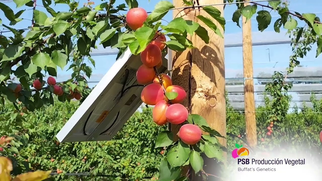 Nelson, Drôme - Juillet 2023