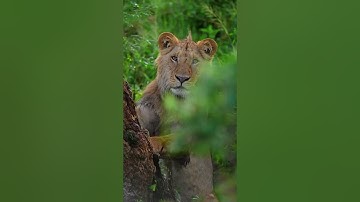 Time For A Break #hopecore #nature #edit