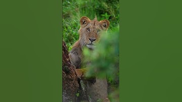 Time For A Break #hopecore #nature #edit