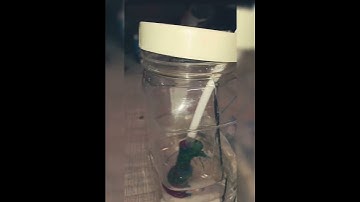 how to make automatic water tap with IR sensor