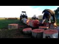 Cutting jarrah firewood