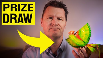 GOGO Bird Flying Toy // PRIZE DRAW