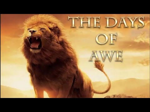 THE DAYS OF AWE | SIGN, SIGN, EVERYWHERE A SIGN | LAST BOARDING CALL ...