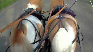 SDC13415.AVI