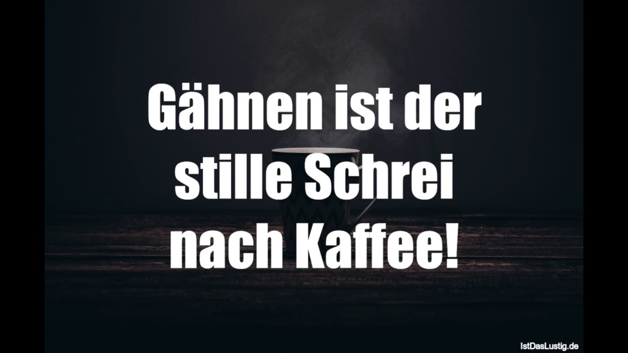 Lustige Sprüche Video Volume 296 Youtube