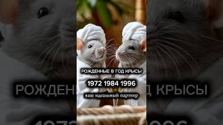 Совместимость по восточному гороскопу: знак крысы