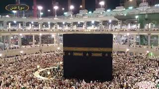 سورة عبس ياسر سلامة