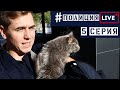 ПРОНЕС КОТА В ПОЛИЦЕЙСКИЙ УЧАСТОК | #ПолицияLIVE 🔴 5 серия