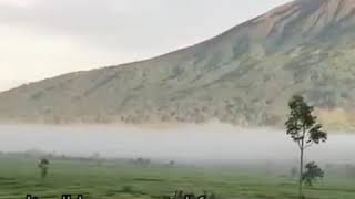 Download Lagu Musik story whatsapp MP3