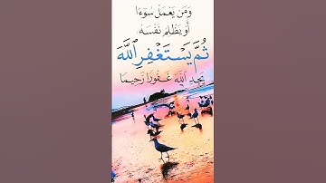 القرآن الكريم راحة نفسية تلاوة خاشعة حالات واتس اب قرآن كريم 🥀🥀