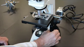 Quelles sont les parties de microscope ?