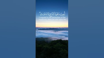 سورة البقرة الآية 186 بصوت الشيخ  محمد الفقيه