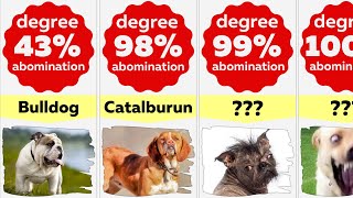 Comparison: Most Abomination Dog Breeds | Ugliest Dogs
