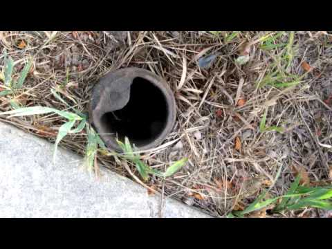 14785 N Kimo Ct, Rathdrum, ID home video tour