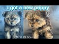 FIRST 24 HOURS W/ MY NEW YORKIE POO PUPPY (7 WEEK OLD)