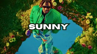 (FREE) Asake x Sarz x Amapiano type beat | Sunny