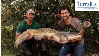 FLY FISHING FOR CATFISH: Jawdropping UK action on the fly, at Todber Manor Fisheries!