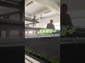 Artificial Turf Cutting and Rolling Machine | Precision Cutting & Perfect Roll Finish