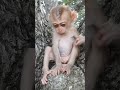 Big Belly Baby Monkey Shorts 