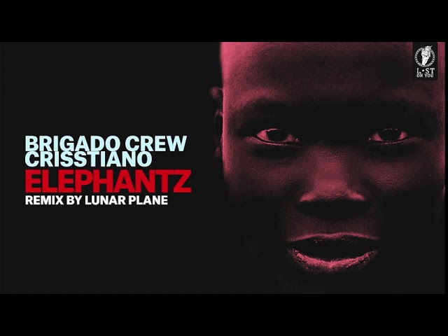 Brigado Crew & Crisstiano Feat Haptic - Burning (Original Mix)