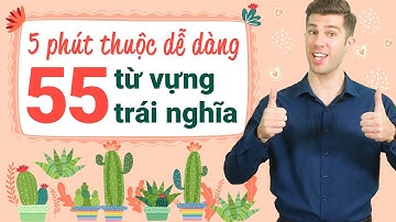 55 TỪ VỰNG TIẾNG ANH THÔNG DỤNG CHO NGƯỜI MẤT GỐC - Học tiếng Anh Online (Trực tuyến)