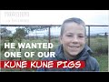 He Wanted To Own a Kune Kune Pig