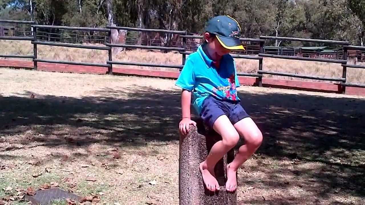 My monkey drinking from the water fountain at Joburg Zoo