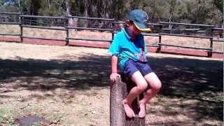 My monkey drinking from the water fountain at Joburg Zoo
