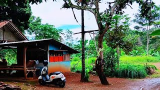 Once Viral, Now Abandoned!! A Small Warung Near a Waterfall in a Remote Village Makes You Feel at...