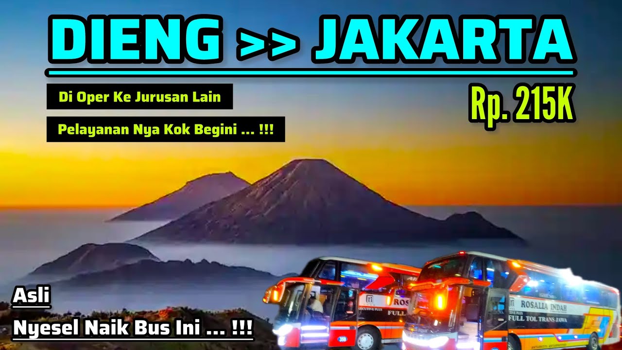 NYESEL NAIK BUS INI‼️DIGABUNG KE RUTE LAIN • MAU MARAH TAPI FAKTA • TRIP KEMBALI • DIENG - JAKARTA