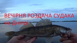 Вечірня роздача Судака на Дніпрі ! Ловля Судака с берега ! Рибалка Київ 2025.