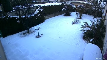 Netatmo Presence camera timelapse