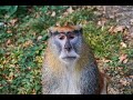 ちょこっと雑談しよう