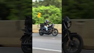 Sportster Iron 1200 #harleydavidson #sportster #viralshorts