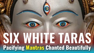 Six White Taras Pacifying Mantras and Introduction: Chanted Beautifully in Sanskrit screenshot 4