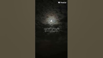 تلاوة خاشعة للقارئ ياسر الدوسري || سورة الروم : ( 4 - 6 ) | #القرآن_الكريم