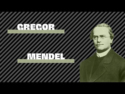 QUI EST GREGOR MENDEL? (à qui le tour? #16)