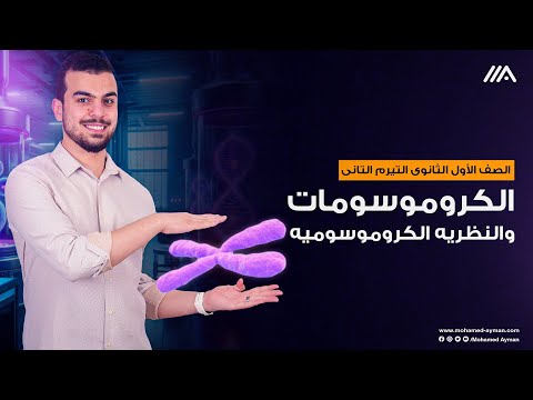 الكروموسومات والنظريه الكروموسوميه أحياء أولى ثانوى ترم تانى الدرس الأول 