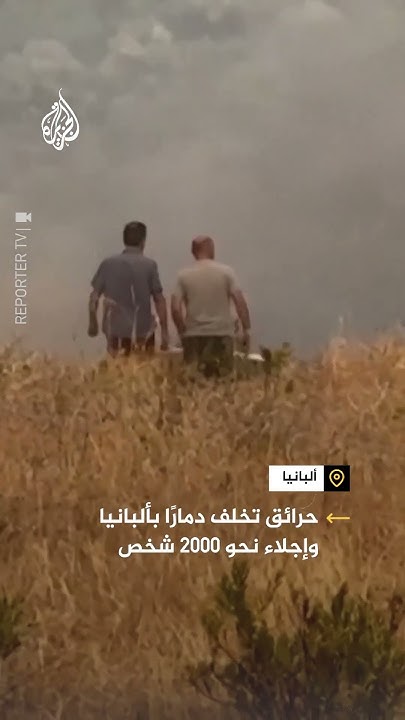          2000 
 - نشر قبل 43 دقيقة