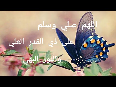 اللهم صلي وسلم على ذي القدر العلي والنور البهي