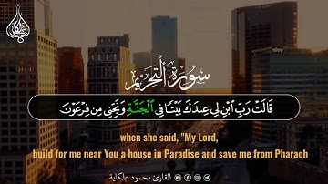 ضرب الله مثلا للذين كفروا🍂/من سورة التحريم صوت من السماء😍🌸#القارئ_محمود_علكاية