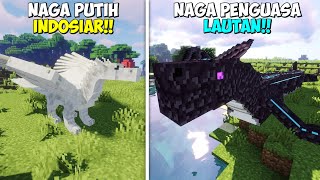 Minecraft Tapi Ada Banyak Saudaranya Ender Dragon‼️