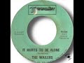 The Wailers It Hurts To Be Alone mp3