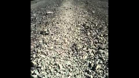 Mt.Yamnuska: 16 Run down the scree with me