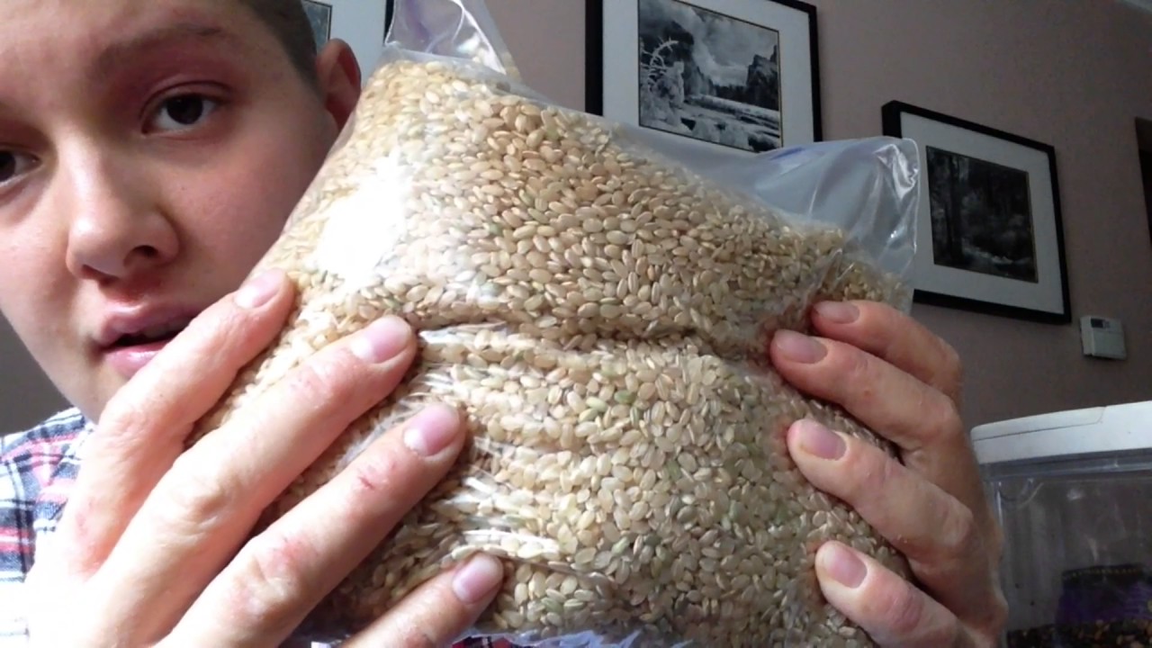 My Top 5 Foods to Cure Eczema 