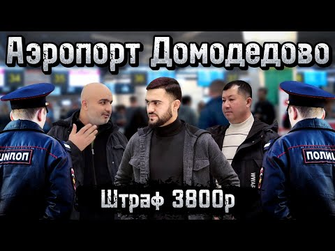 Срочно / Аэропорт Домодедово / Тафтиши Ҳуҷҷат / Штраф 3800р / 13.01.2024 / Абдулло Тч