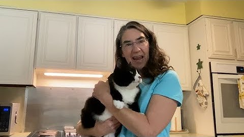 Tiny Tidy Tuesday Kitchen Cabinet Edition! w/@TheHelpfulHome  #teamtinytidy #simplify #declutter