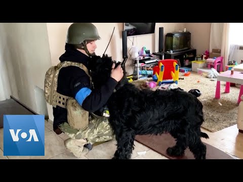 Ukraine Soldier Adopts Abandoned Pet on Front Line Near Kyiv